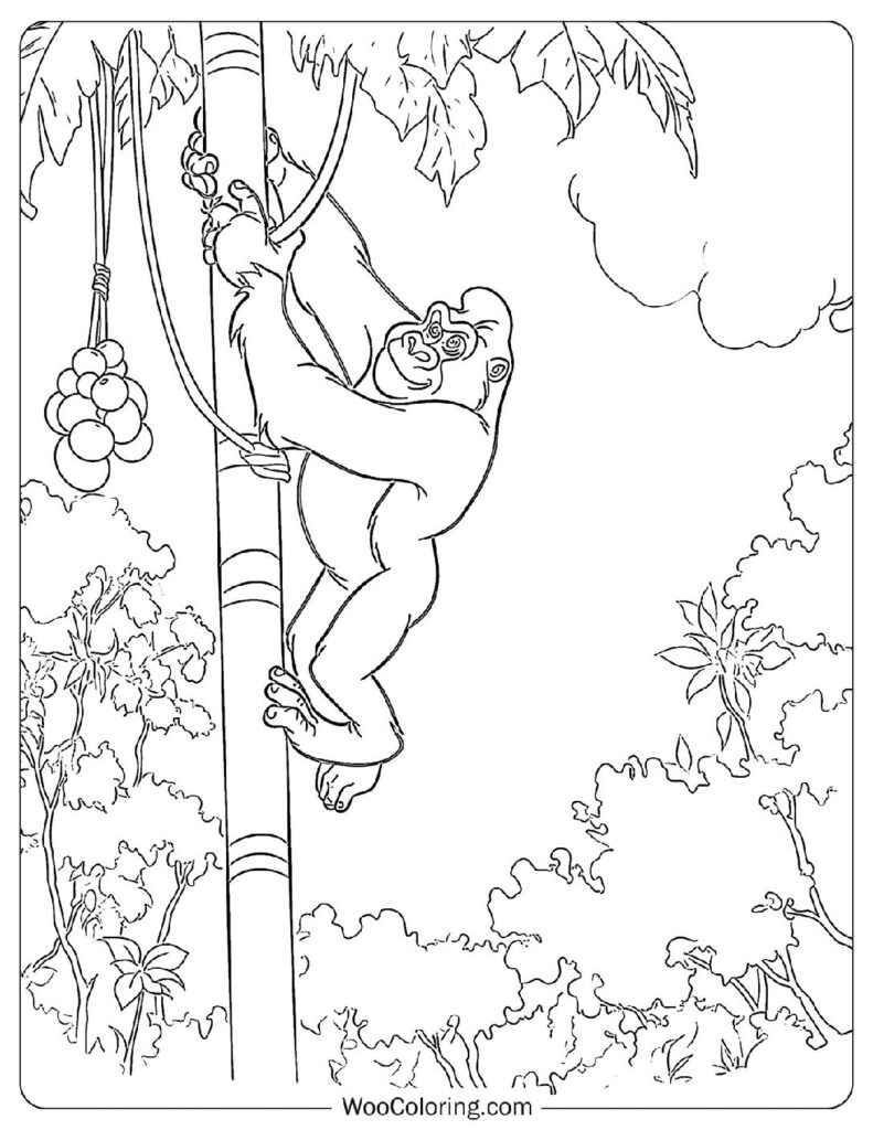 coloring pages of gorillas
