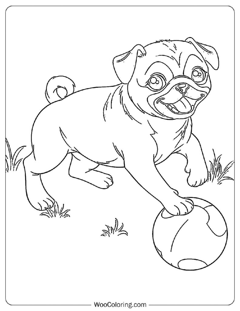 pug dog coloring pages