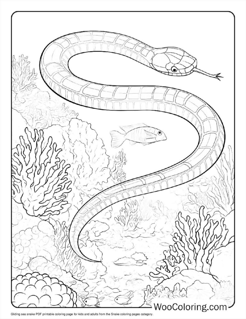 100 Snake Coloring Pages Free PDF To Print Woo Coloring