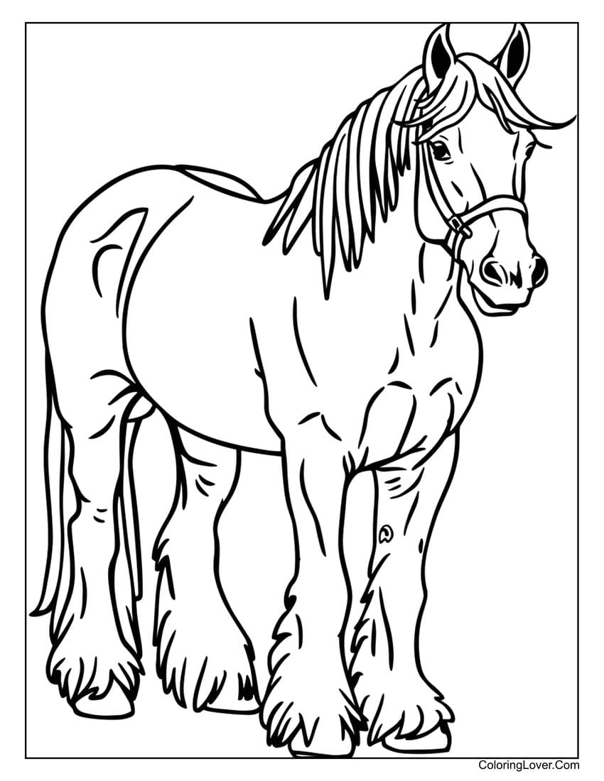 horse colouring pages printable