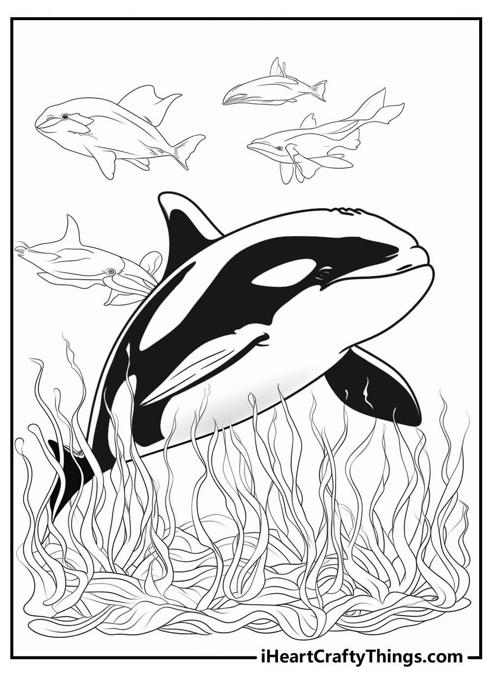 15 Killer Whale Coloring Pages 100 Free Printables 