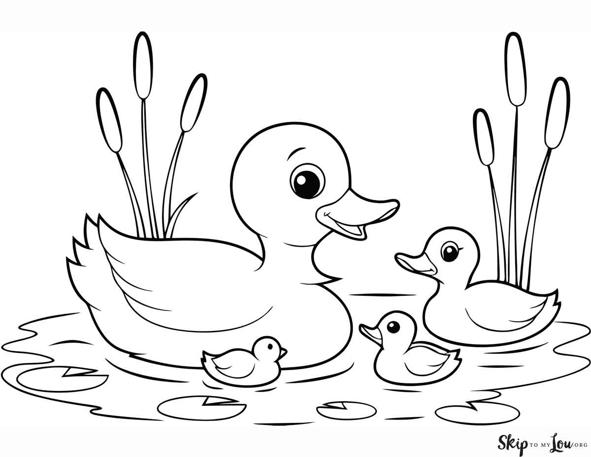 Duck And Duckling Coloring Pages