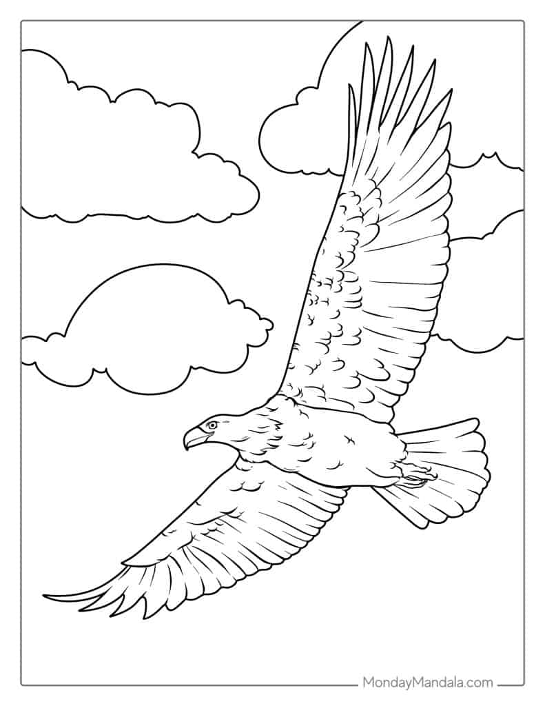 35 Bald Eagle Coloring Pages Free PDF Printables 35 Bald Eagle Coloring Pages Free PDF Printables