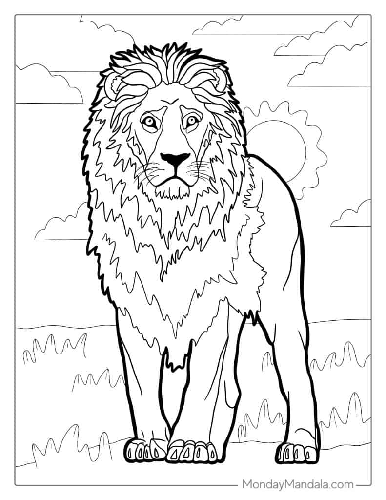 coloring pages of lions coloring pages of lions