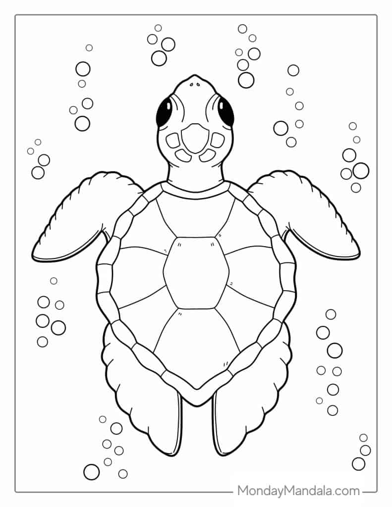 sea turtle coloring page