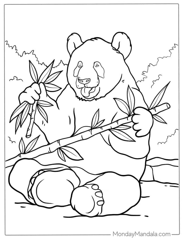 Giant Panda Colouring Pages