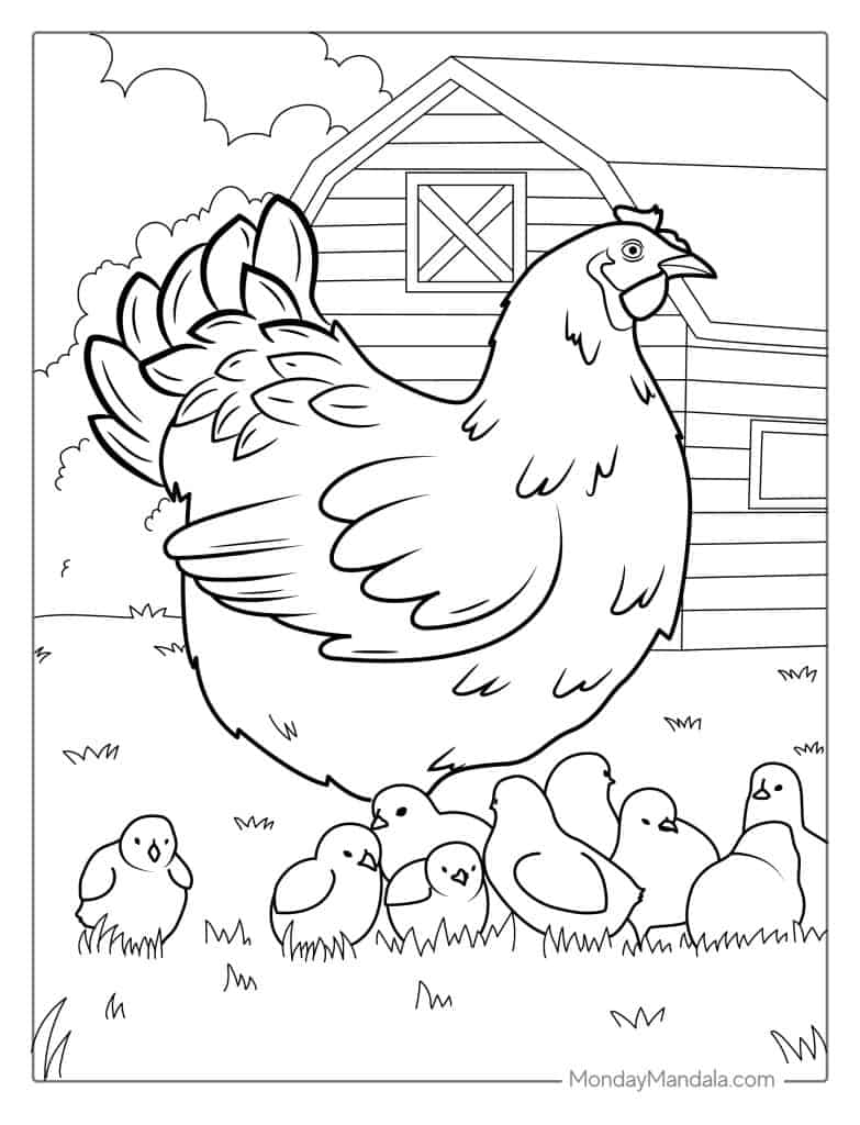 hen pictures to color