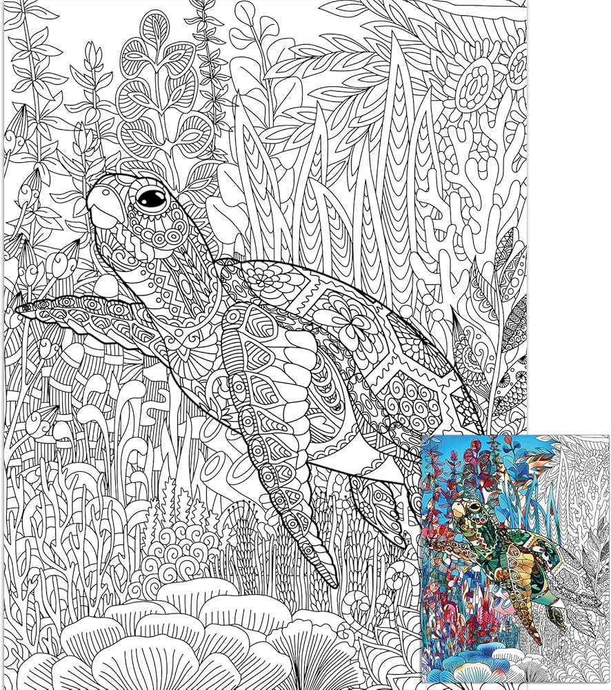 sea turtle coloring sheet