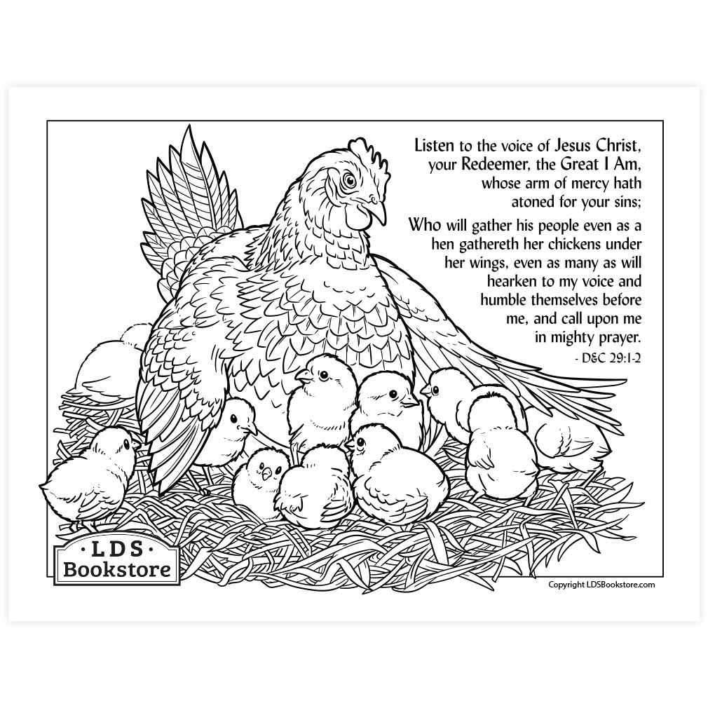 Colouring Pages Of Chickens