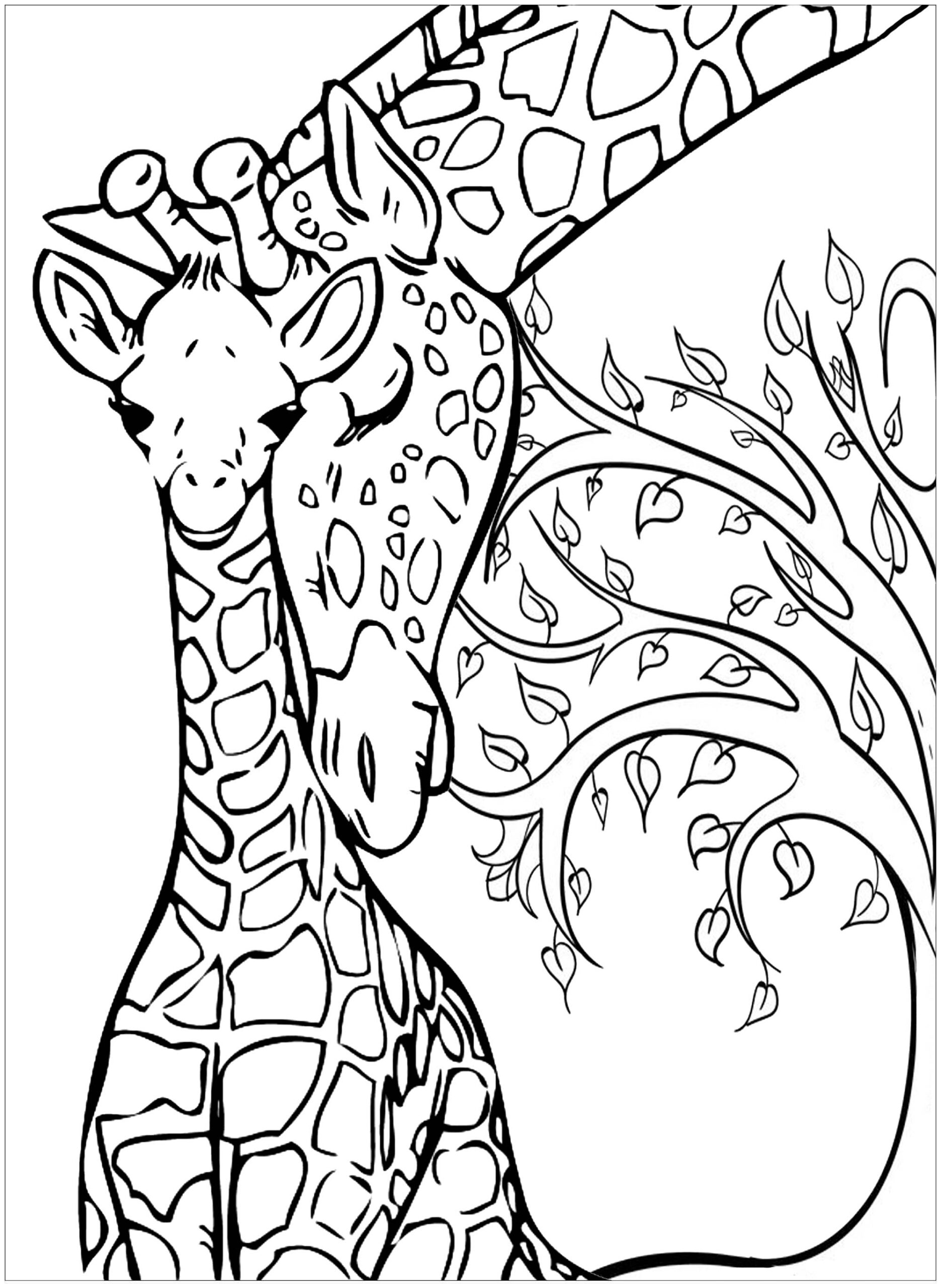 giraffe pictures to color