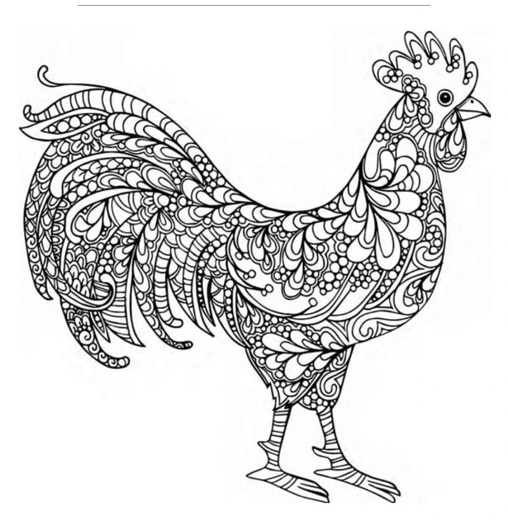 Backyard Poultry Coloring Pages 2018 Backyard Poultry