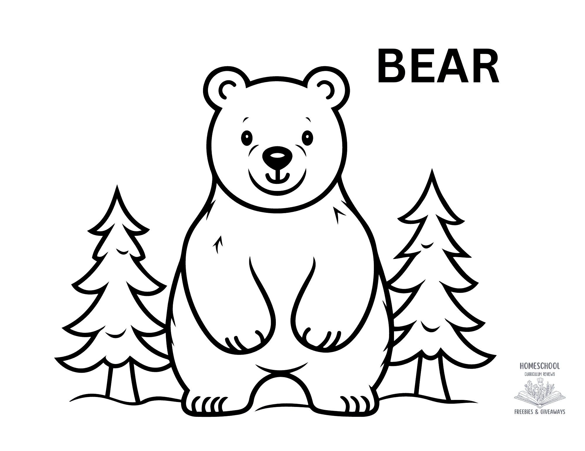 bear colouring in pages