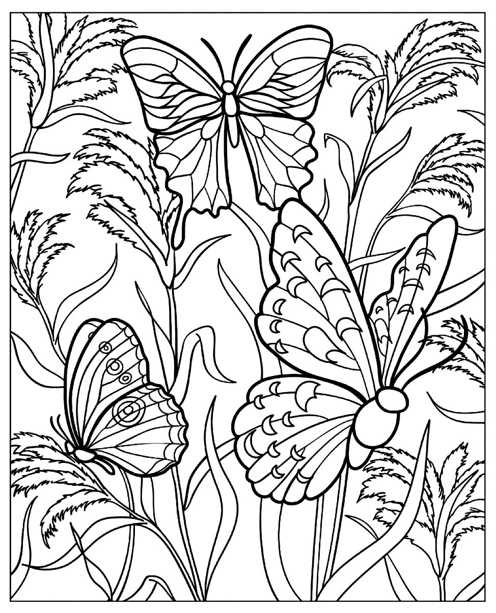 free butterfly coloring pages free butterfly coloring pages