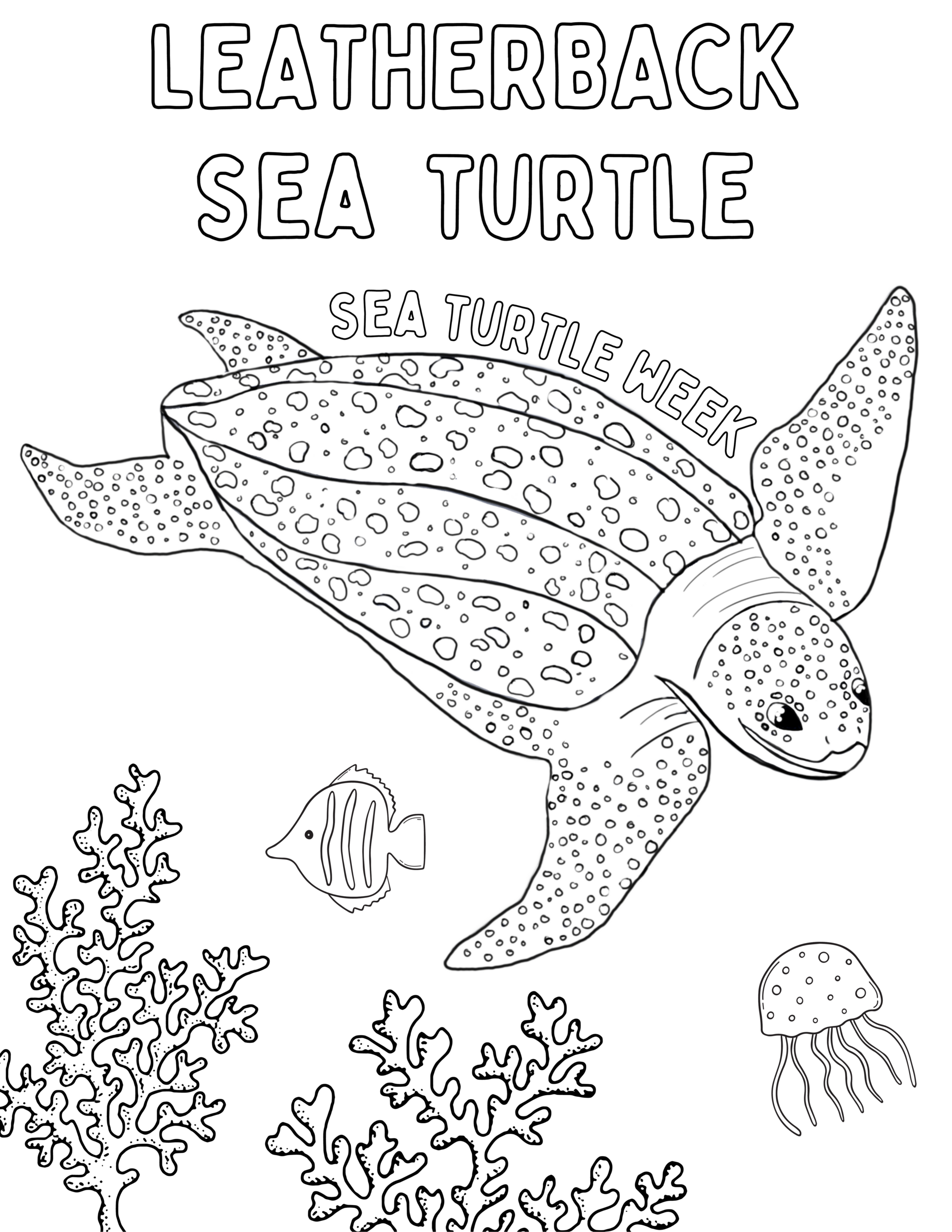 Coloring Sheets SeaTurtleWeek
