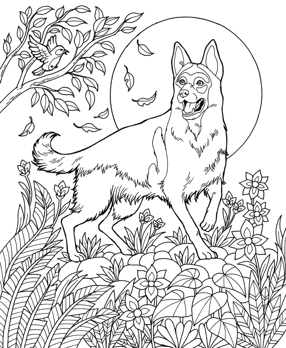 Dog Book Free Download German Shepherd
