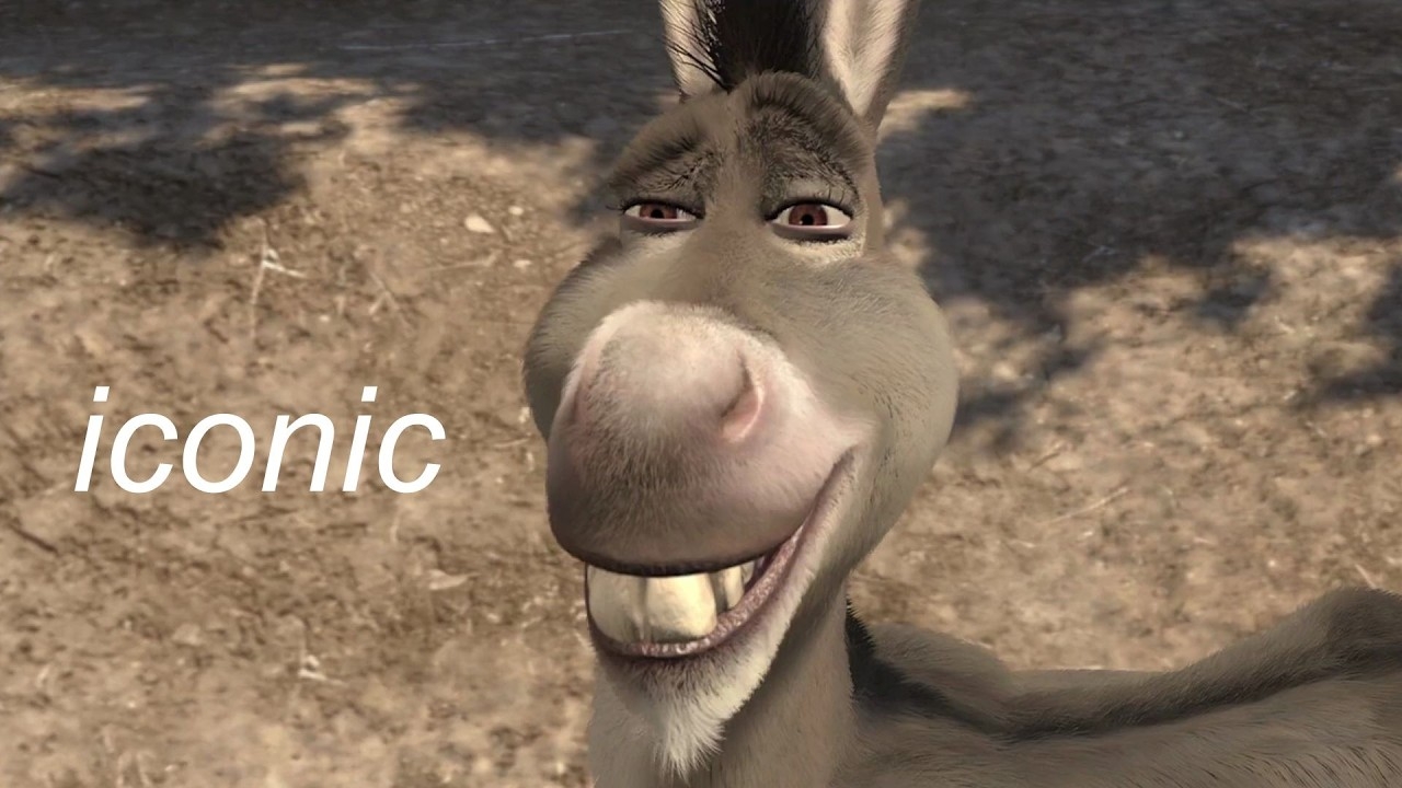 Donkey Being An Icon For Over 5 Minutes YouTube