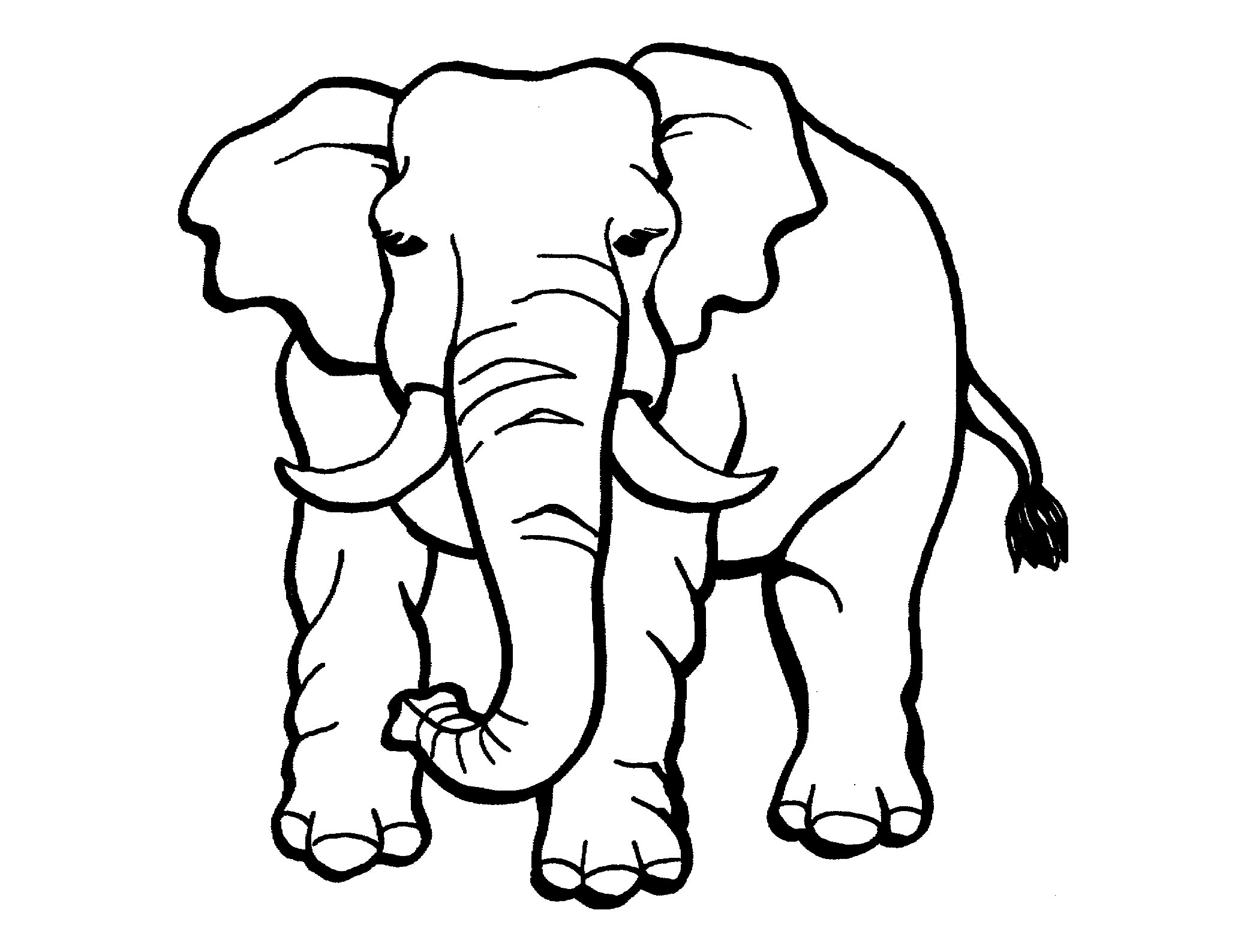 Elephant Image To Print And Color Elephant Coloring Pages