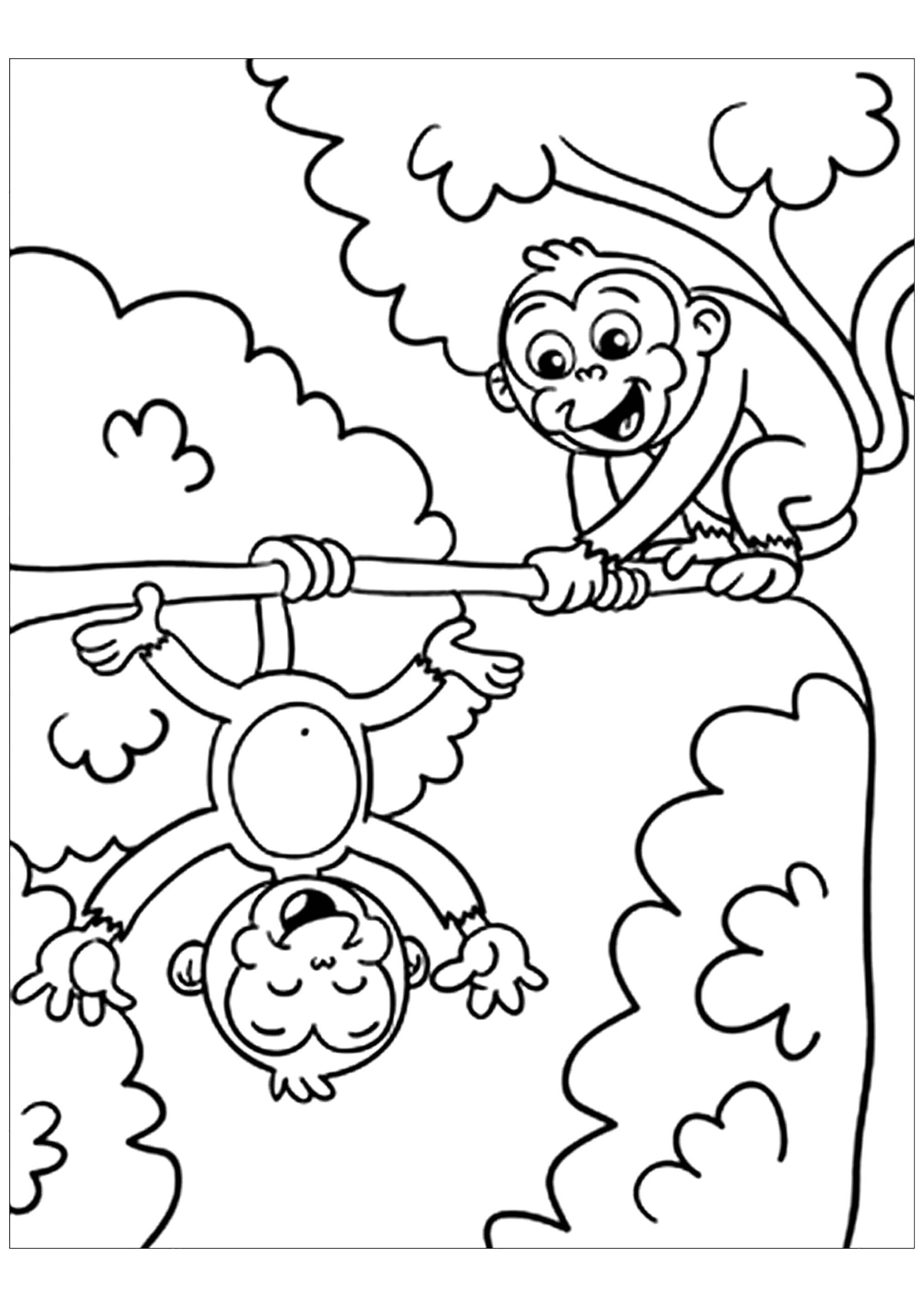 coloring sheets of monkeys