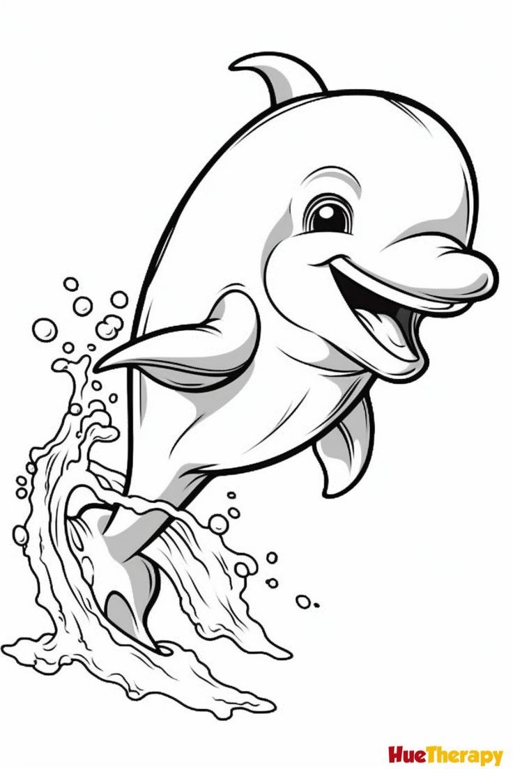 Dolphin Pictures To Color