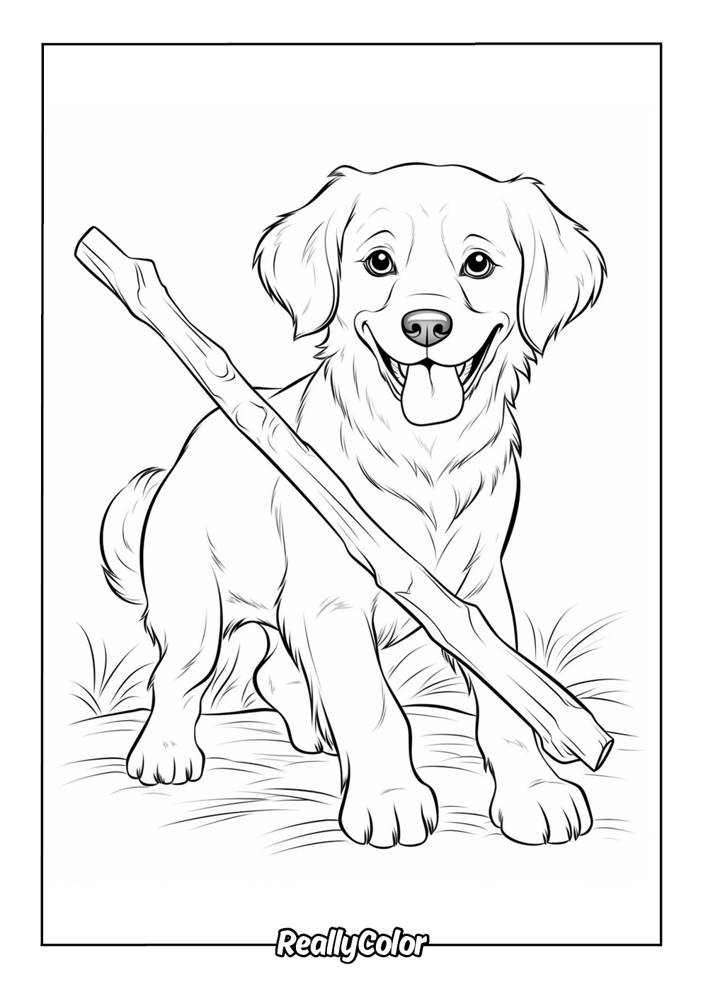 Free Printable Golden Retriever Coloring Pages