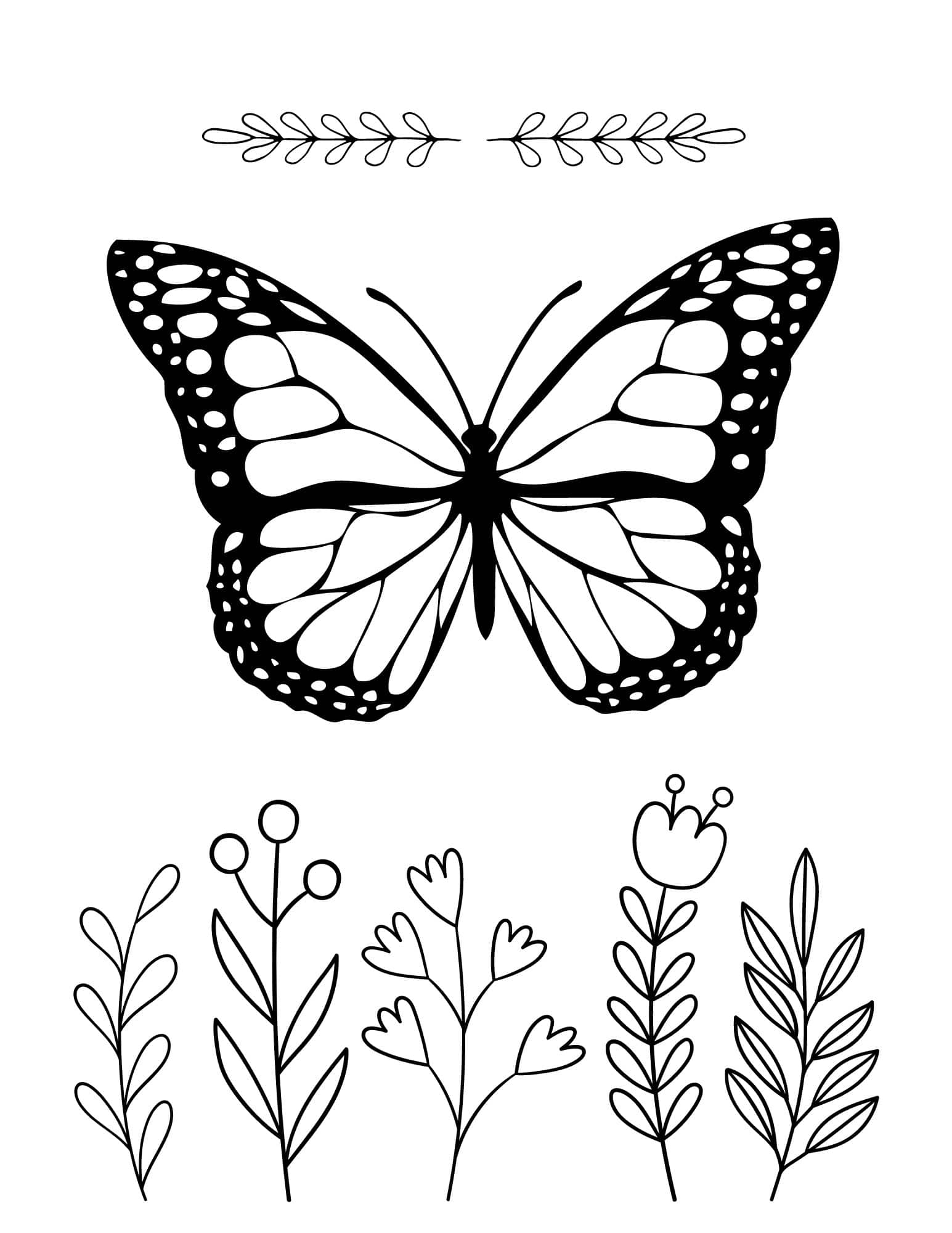 butterfly coloring pages free butterfly coloring pages free