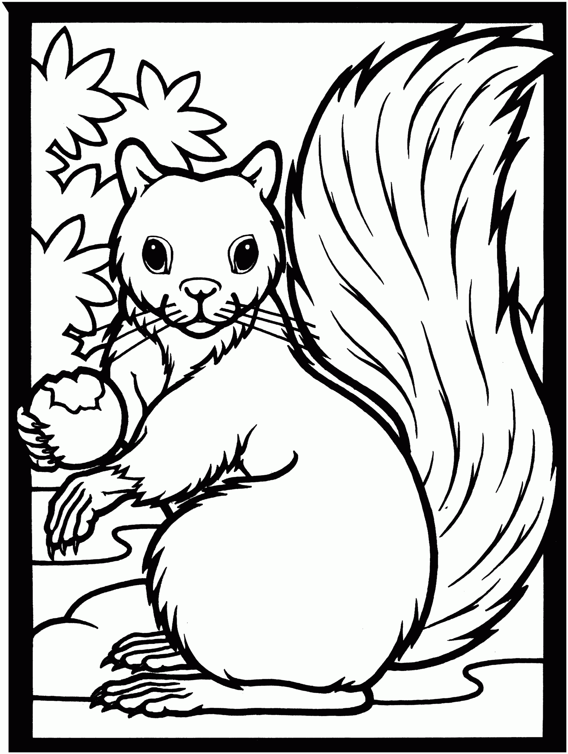coloring picture of squirrel