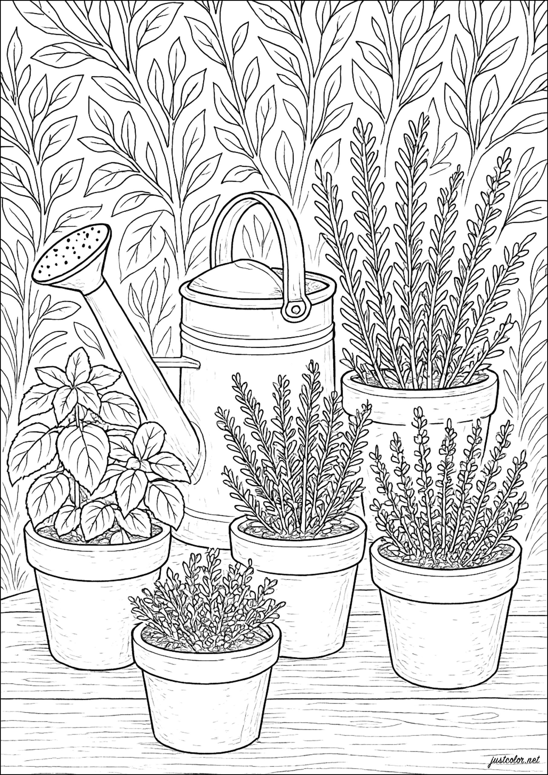 Garden Of Soothing Green Pots Flowers Vegetation Coloring Pages For Adults