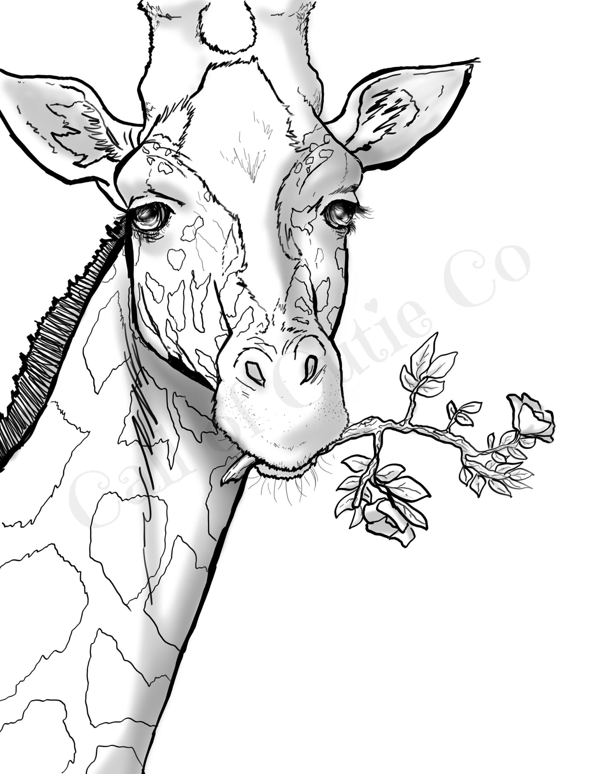 Giraffe Coloring Page Animal Coloring Page Etsy