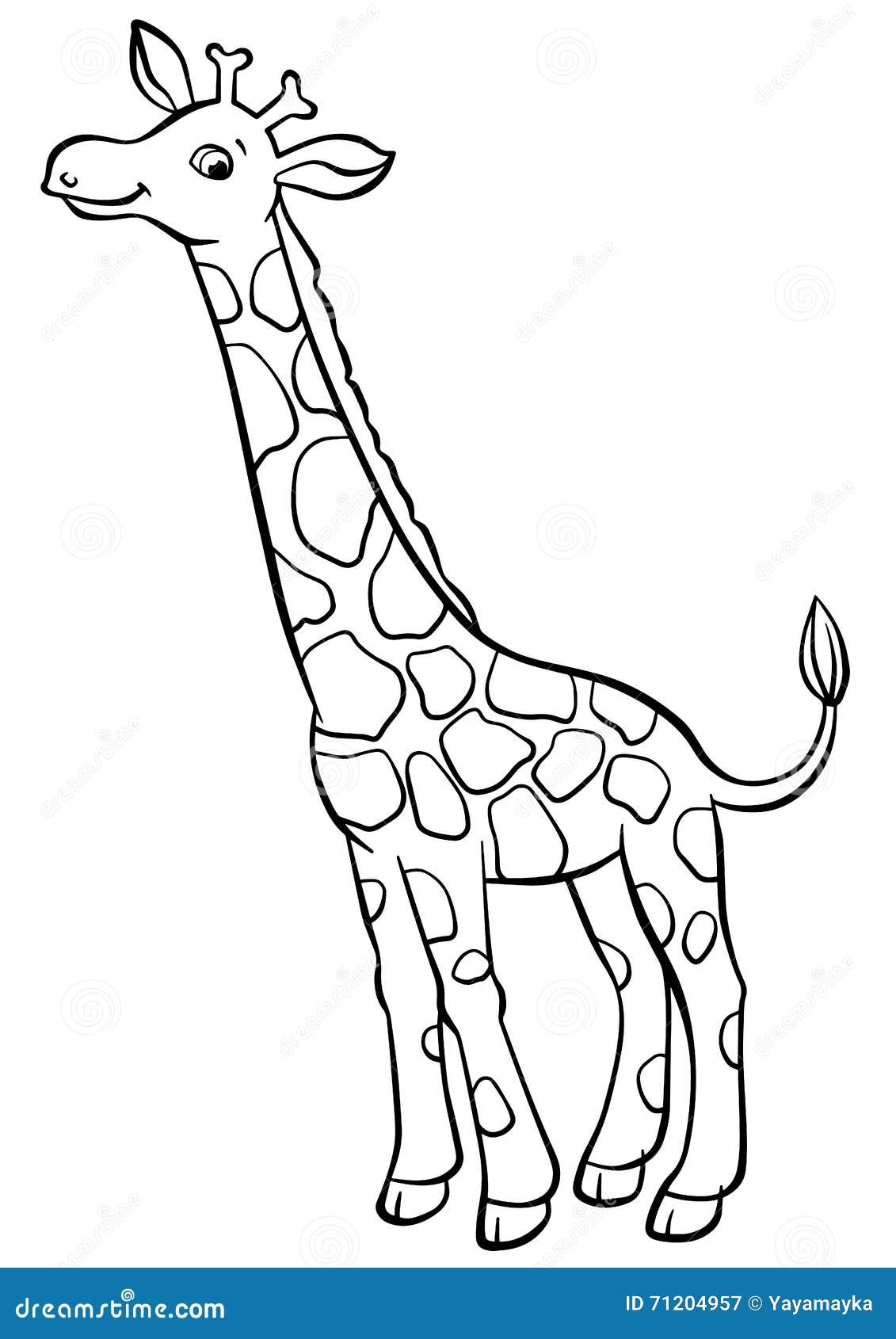 Giraffe Colouring Pages Stock Illustrations 123 Giraffe Colouring Pages Stock Illustrations Vectors Clipart Dreamstime
