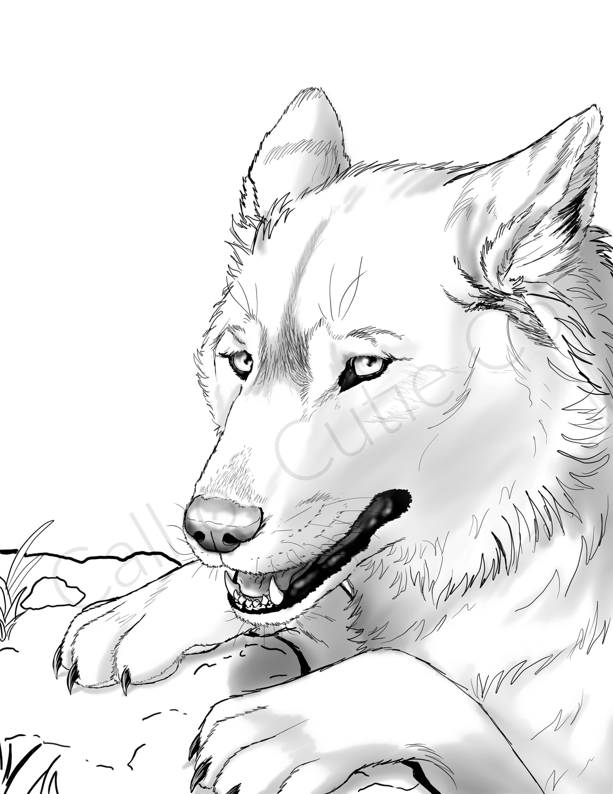 Wolf Pictures To Color