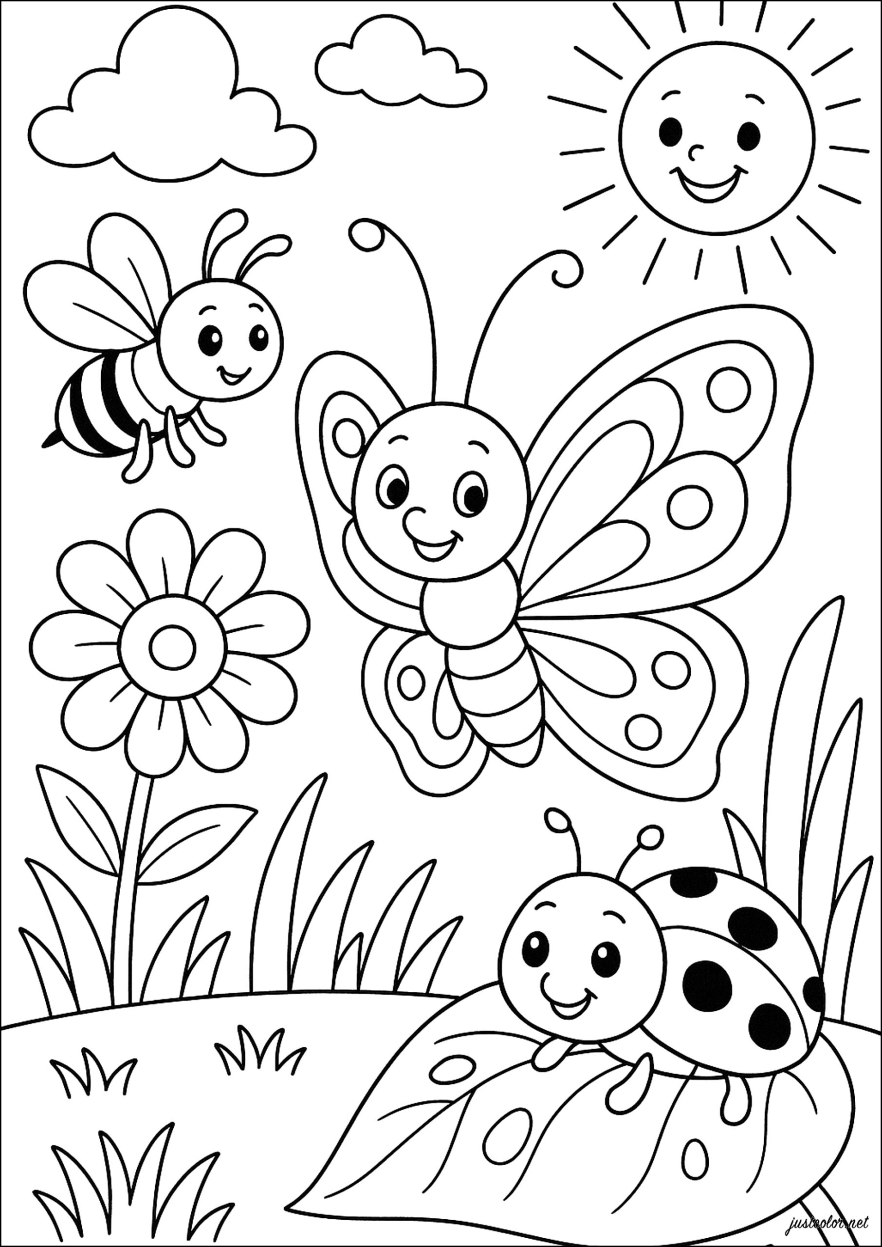 Free Coloring Pages Butterfly