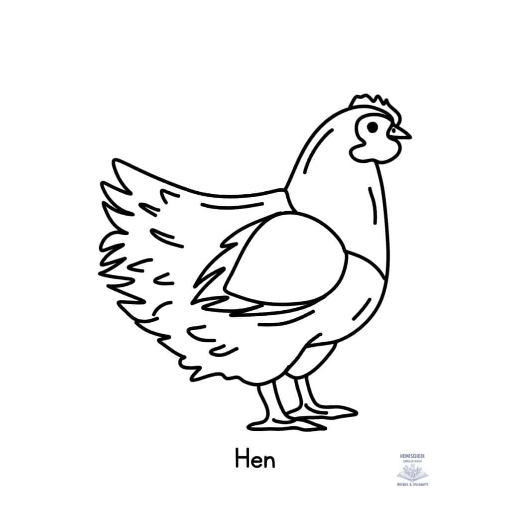 Colouring Pages Of Hen