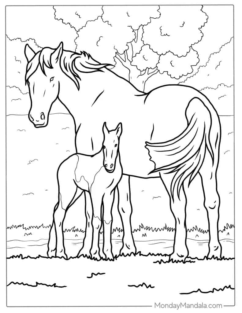 coloring pages of horses printable