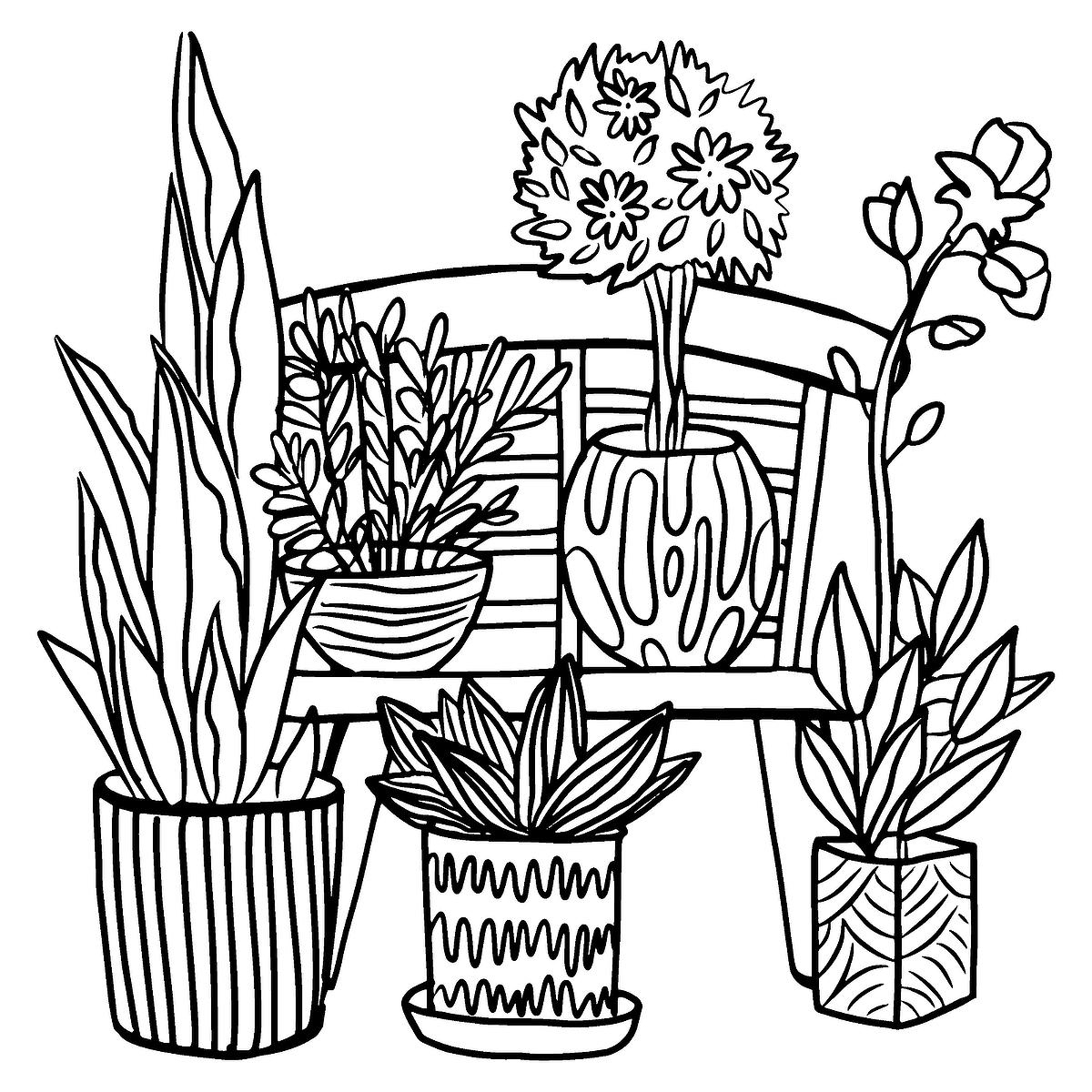 coloring pages for plants