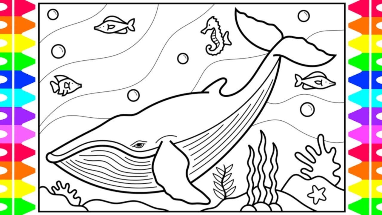 How To Draw A Whale For Kids Whale Drawing For Kids Whale Coloring Page For Kids YouTube