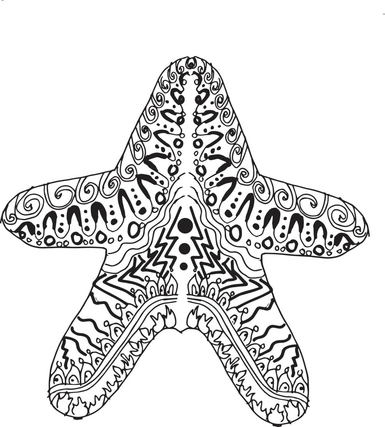 sea star coloring page sea star coloring page
