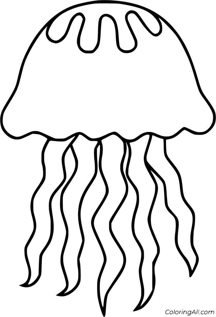 coloring page of a jellyfish