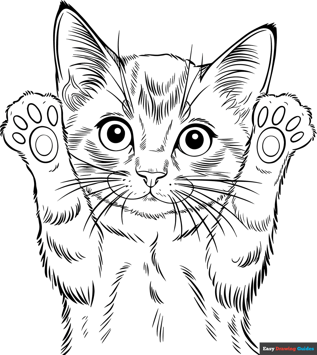 cute kitten coloring pages