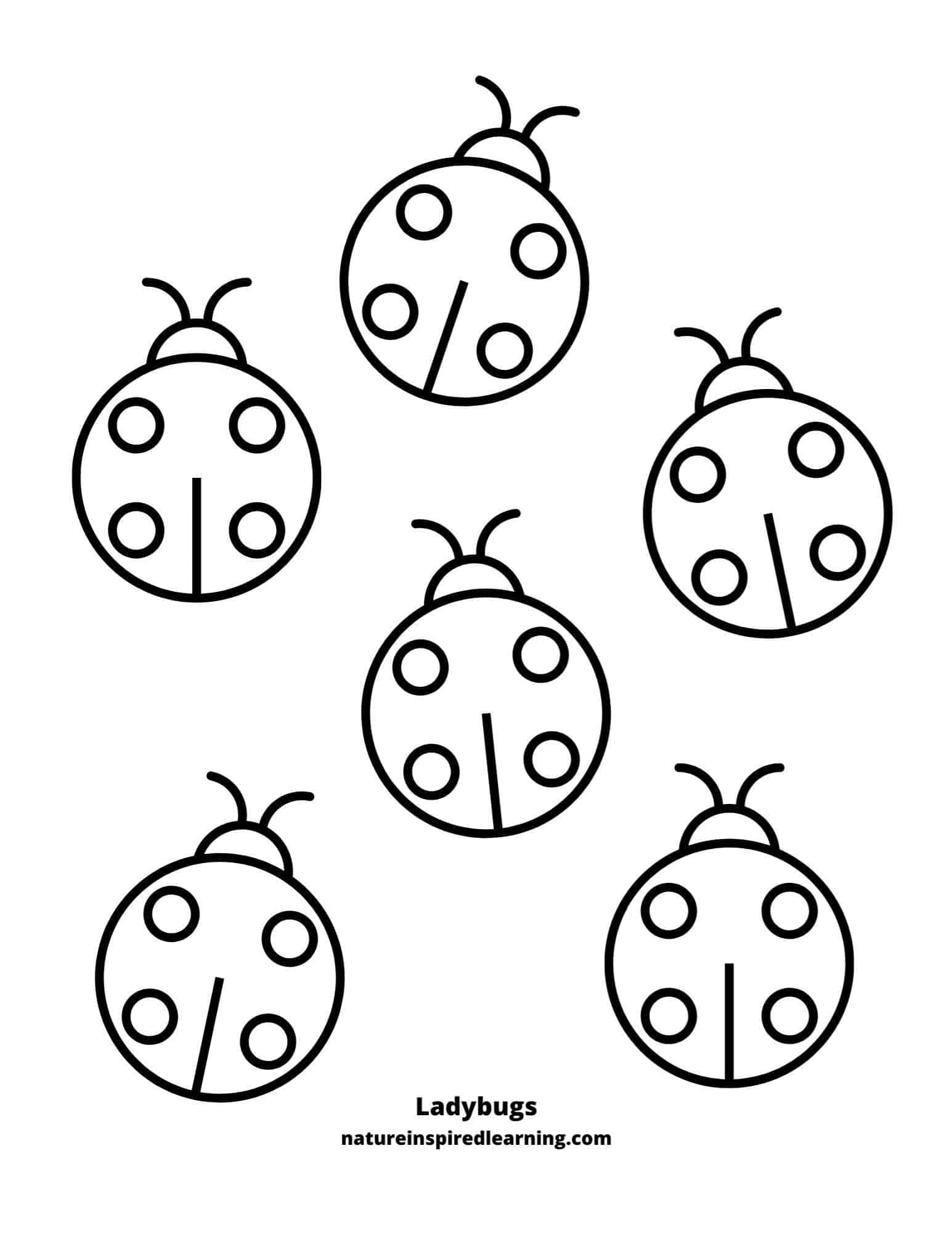 Ladybugs Pictures To Color