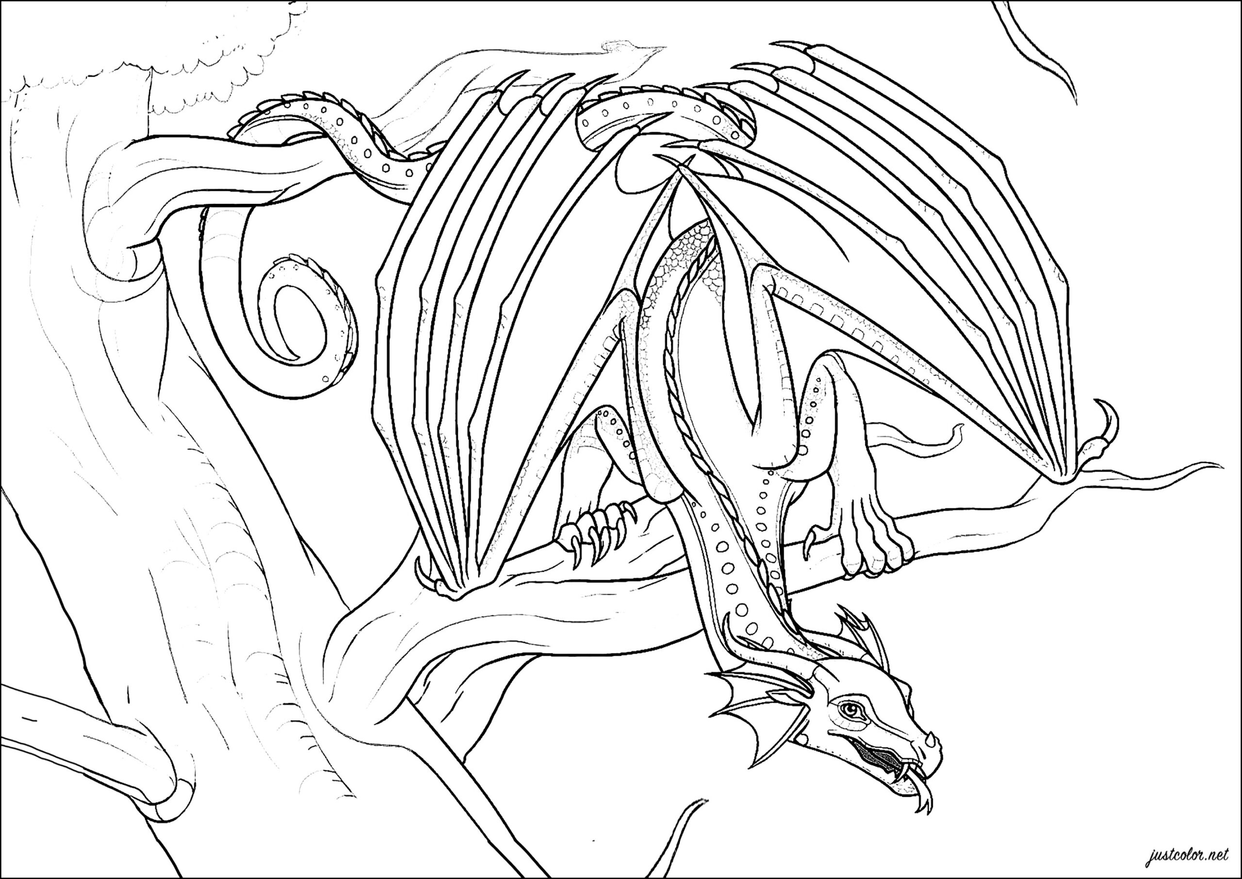 wings of fire coloring page