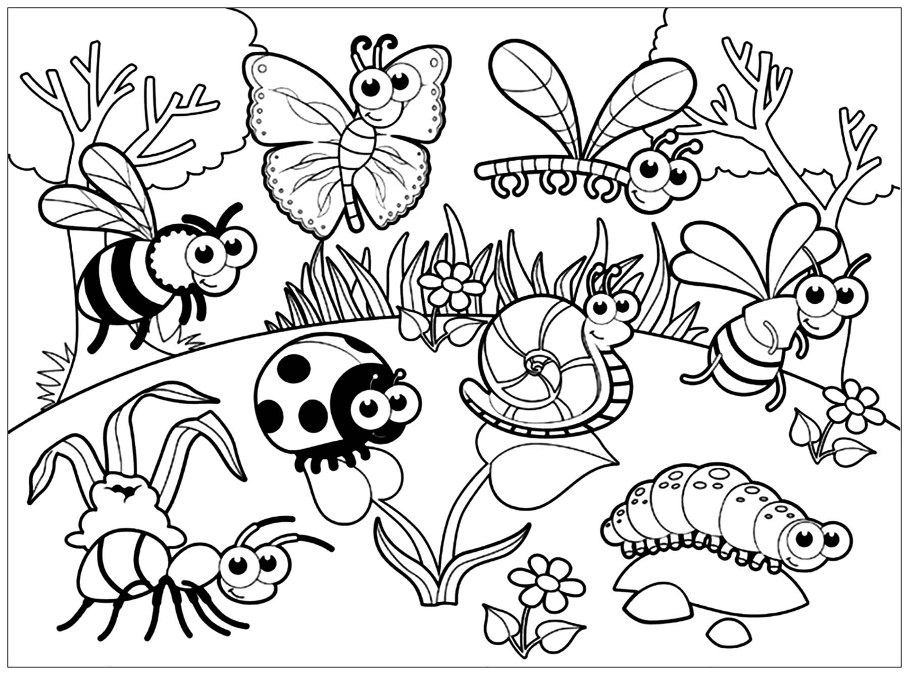 Bug Pictures To Color