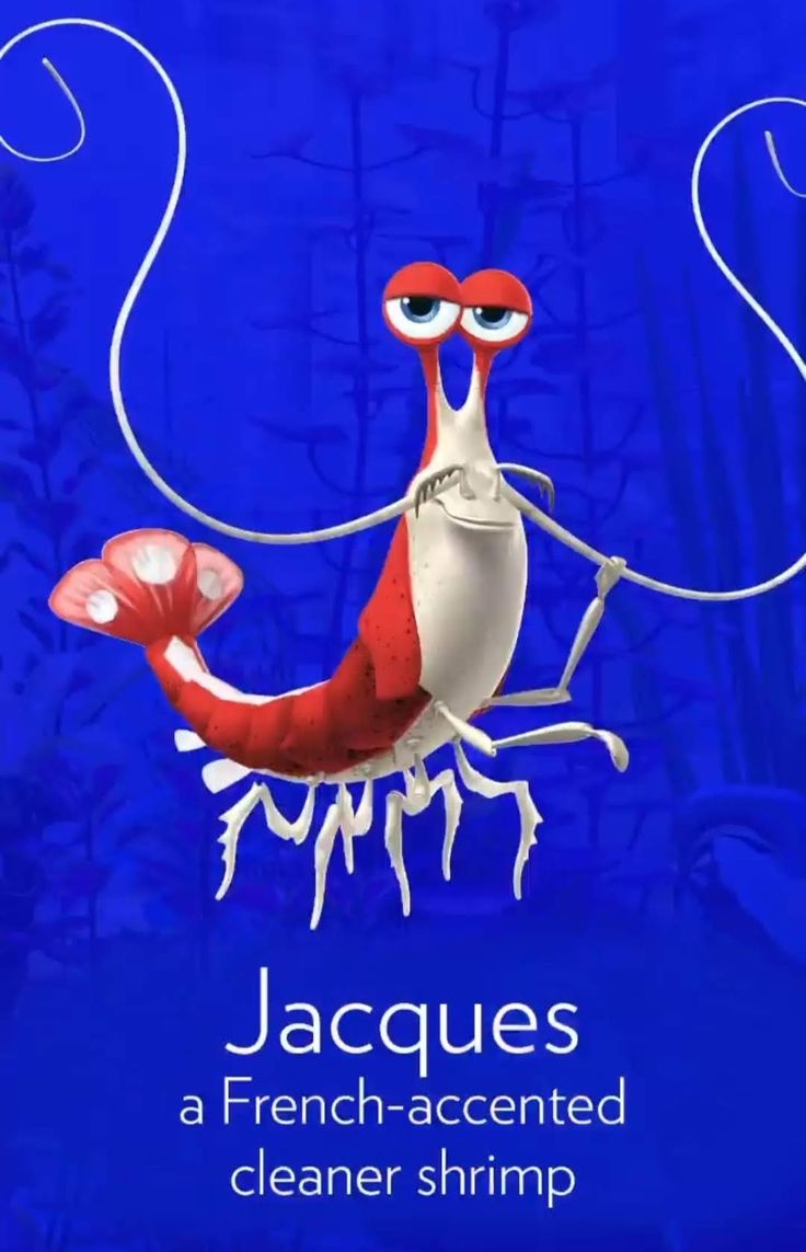 jacques shrimp finding nemo