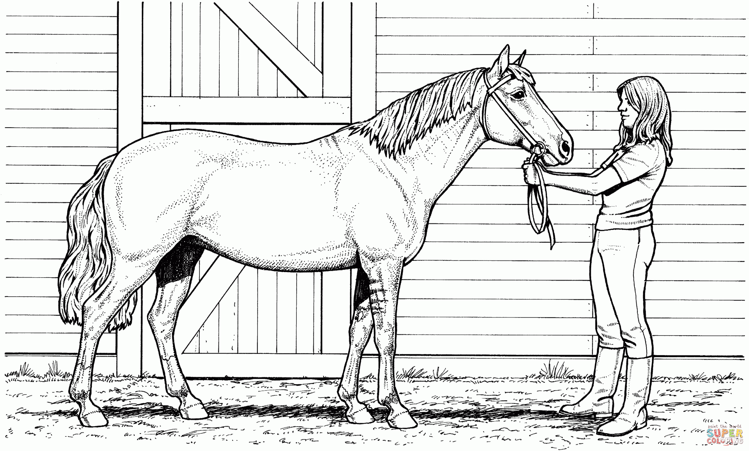 coloring pages horses printable