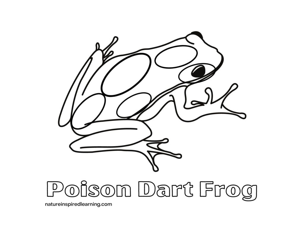 coloring page of a frog coloring page of a frog
