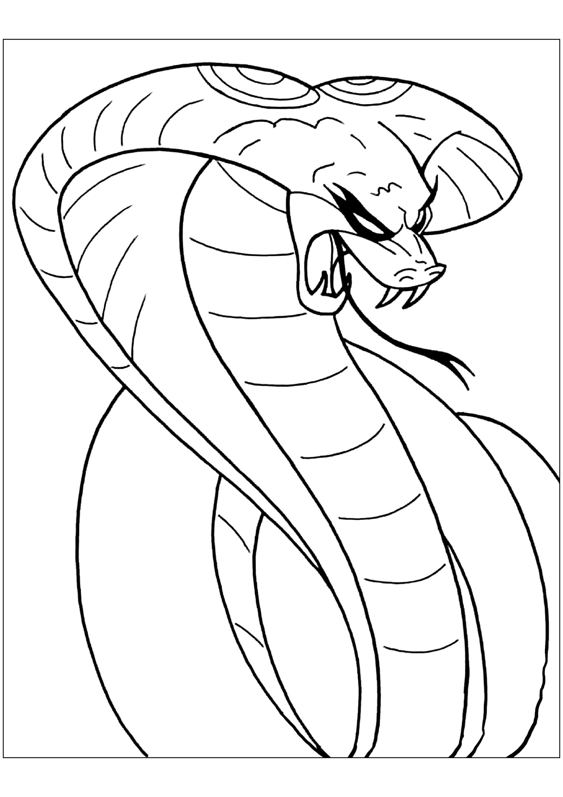 Colouring Pages Of Snakes