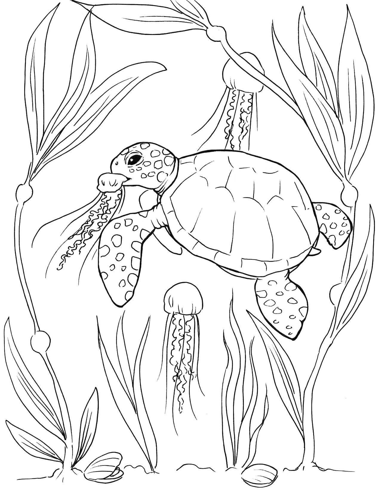 Sea Turtle Coloring Pages Etsy Ireland