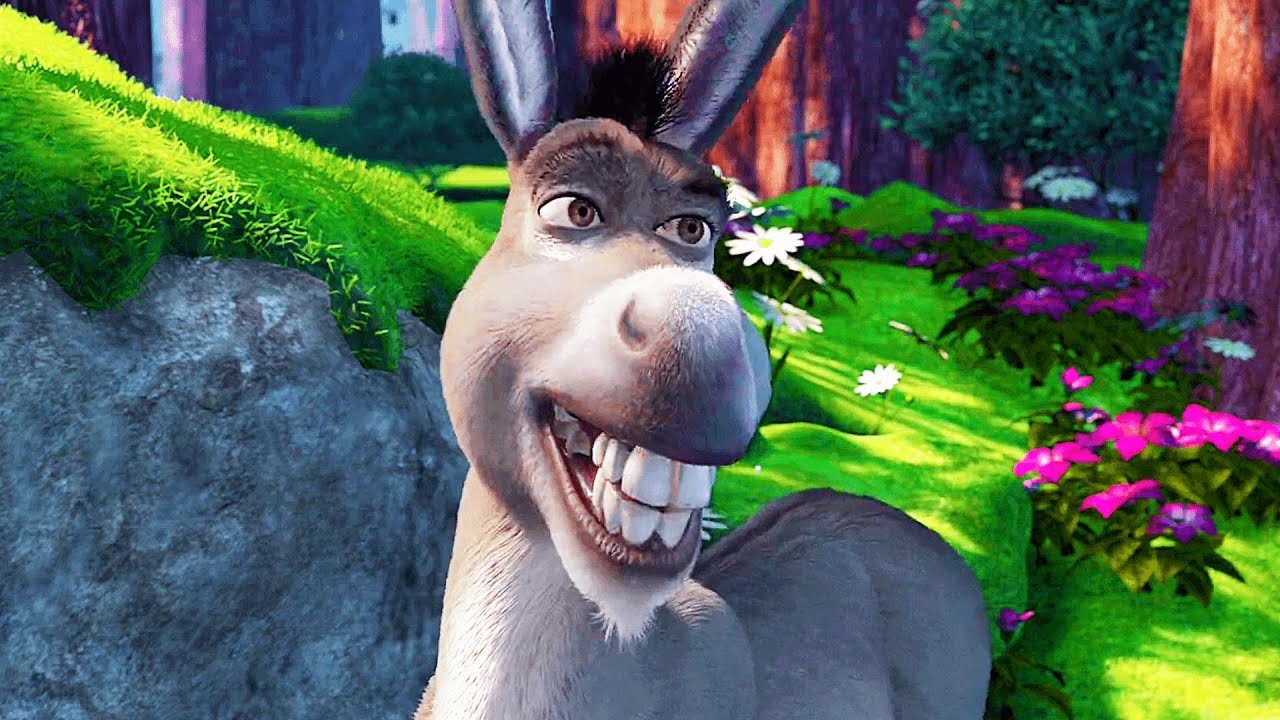 Donkey From Shrek Smiling