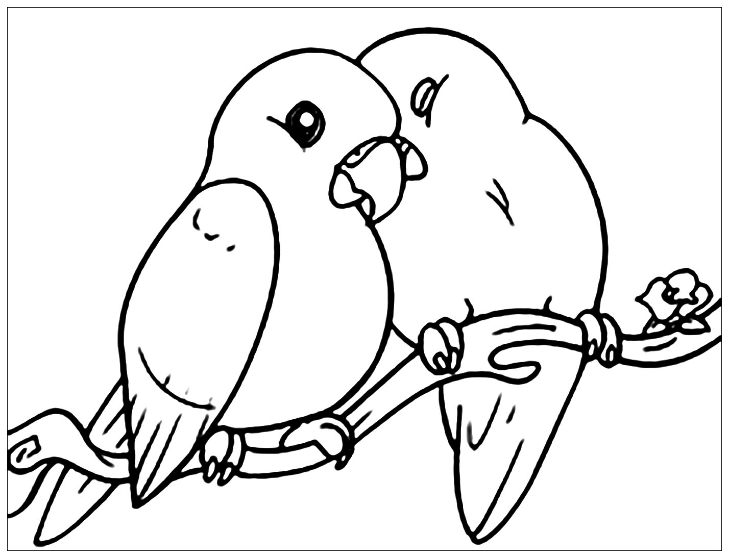 Small Birds Bird Coloring Pages Small Birds Bird Coloring Pages