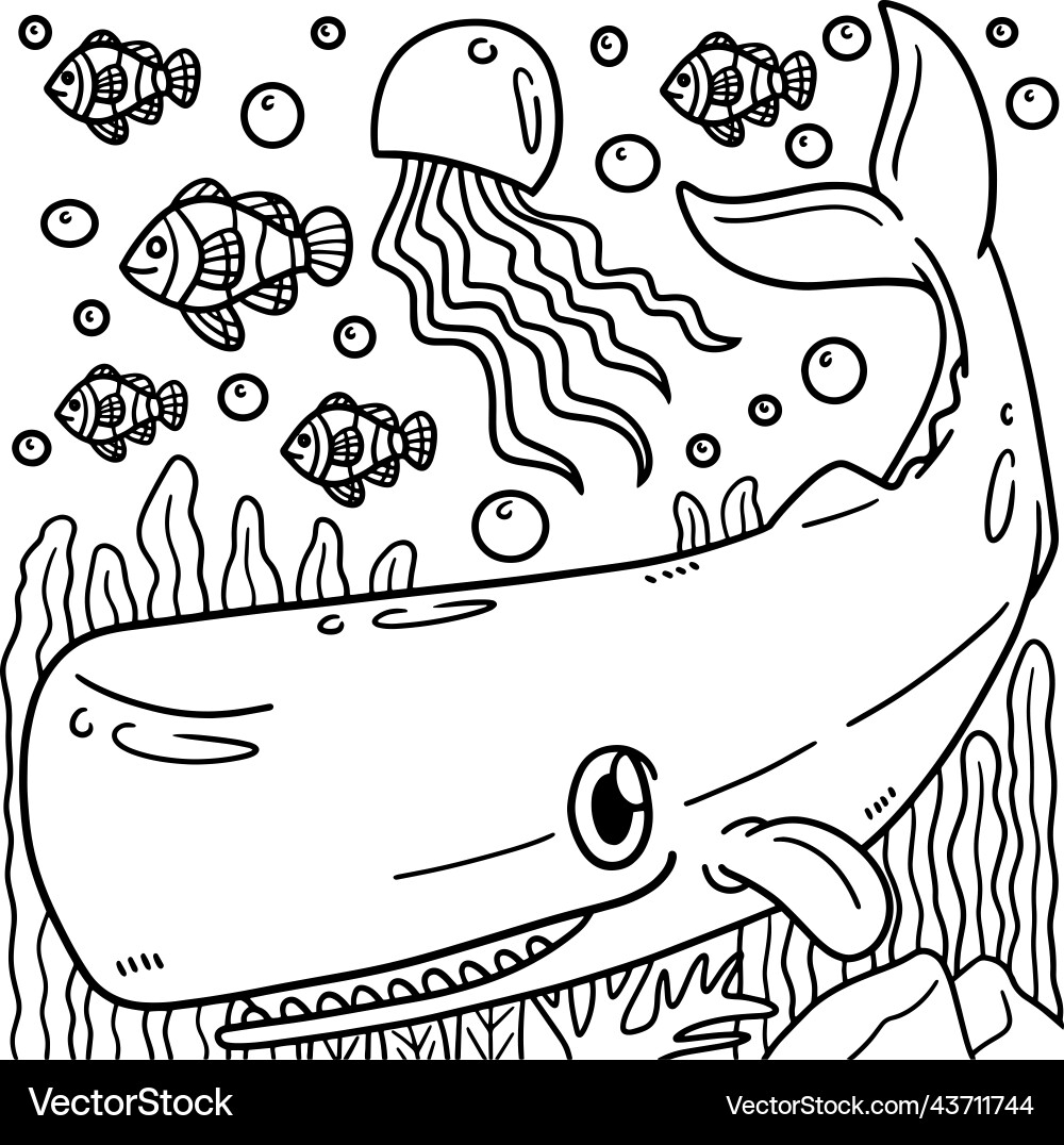 whale drawings to color