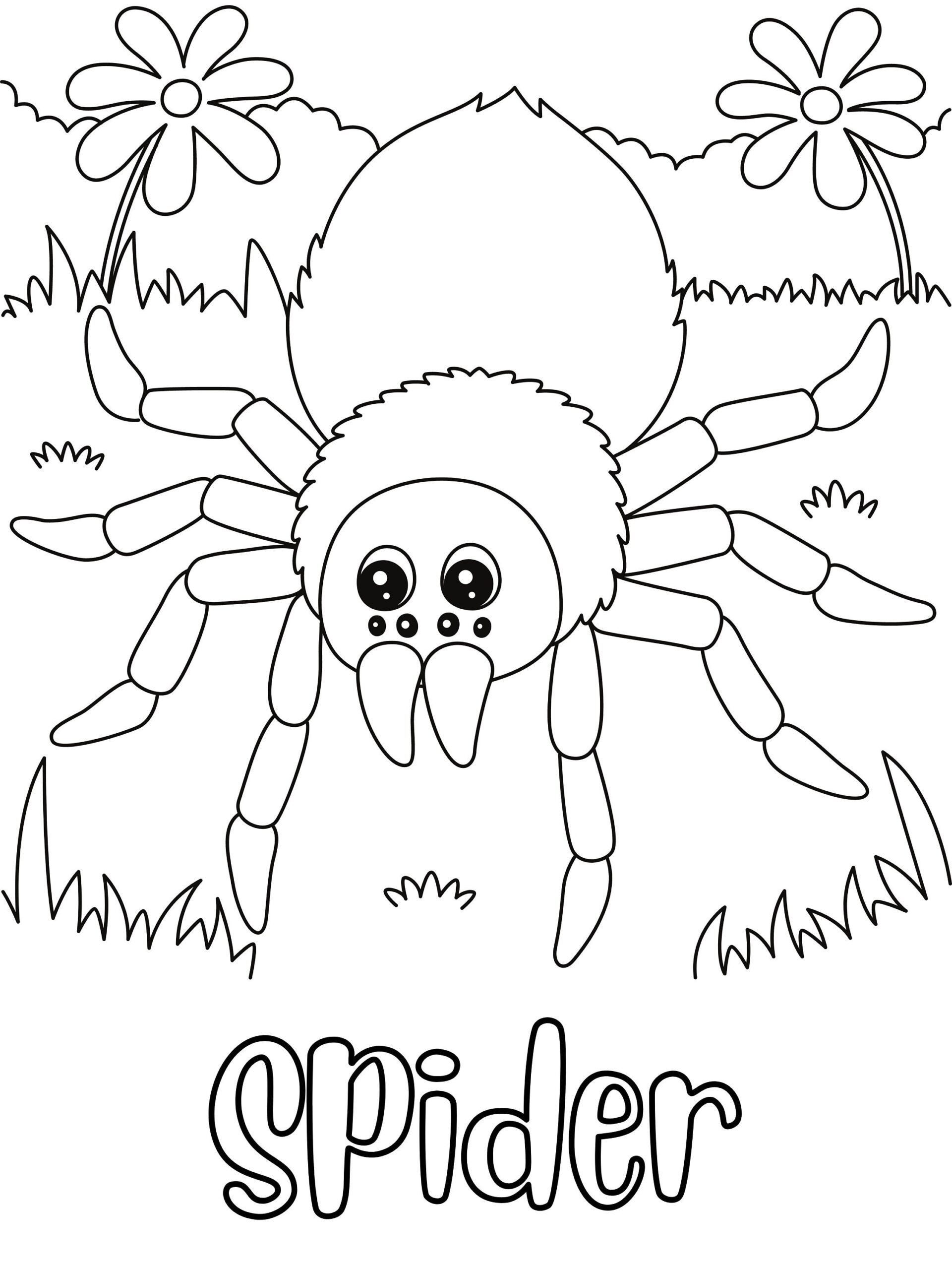 Coloring Page Of A Spider